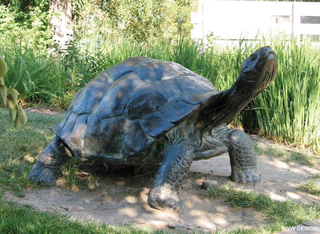 Galapagos Tortoise sculpture