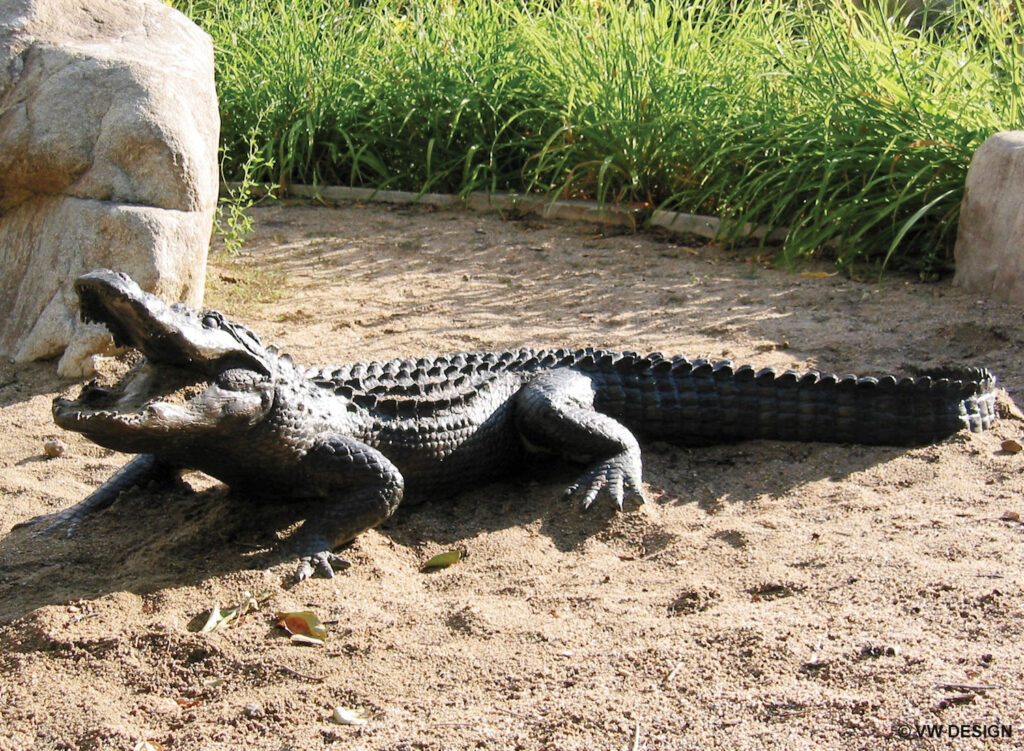 Alligator sculpture